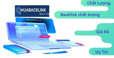 Chất Lượng Backlink