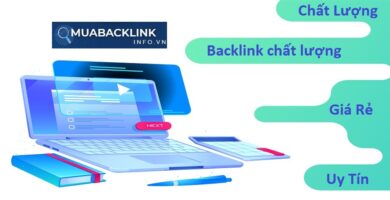 Phân Loại Backlink