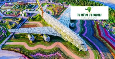 Khám Phá Du Lịch Dubai - Dubai Miracle Garden