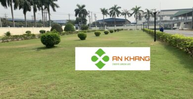 Chăm Sóc Cảnh Quan Tại KCN Dĩ An Bình Dương