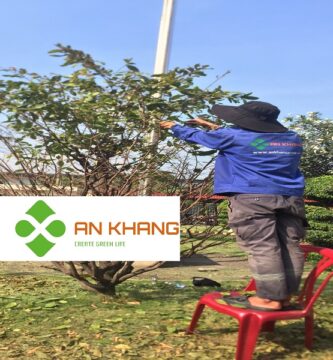 Dịch Vụ Chăm Sóc Cây Xanh Tại KCN Thủ Dầu Một Bình Dương
