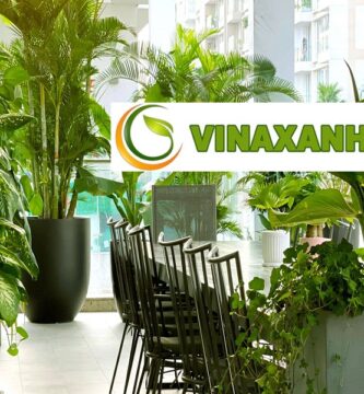 Cho Thuê Cây Cảnh Văn Phòng Quận 8 TPHCM
