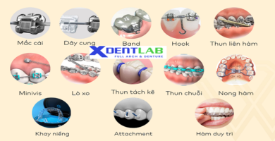 introduce Custom orthodontic appliance manufacturer worldwide