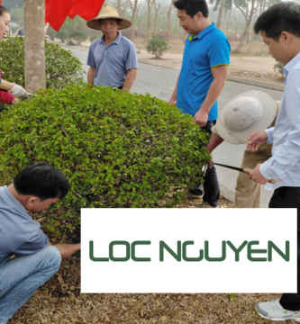 Dịch Vụ Cây Xanh Châu Thành Long An