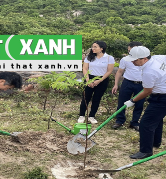 Giới Thiệu Dịch Vụ Trồng Cây Xanh Tại Tây Ninh