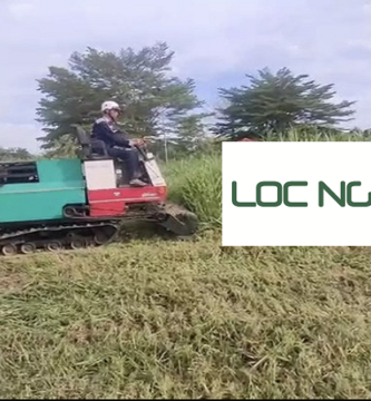 Giới Thiệu Dịch vụ phát hoang cỏ dại tại KCN Long An