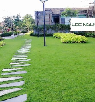 Dịch vụ trồng cỏ tại Cần Giuộc Long An