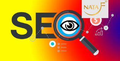Dịch Vụ SEO Web Tại Đồng Xoài Bình Phước