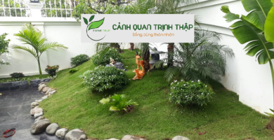 Chuyên Thiết Kế Sân Vườn Tại Hai Bà Trưng Hà Nội