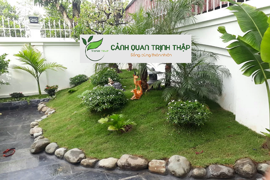 Chuyên Thiết Kế Sân Vườn Tại Hai Bà Trưng Hà Nội