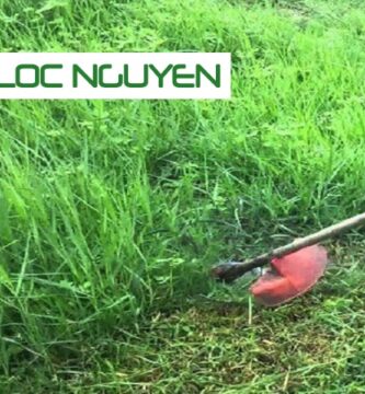 Dịch Vụ Phát Hoang Cỏ Dại KCN Tại Long An