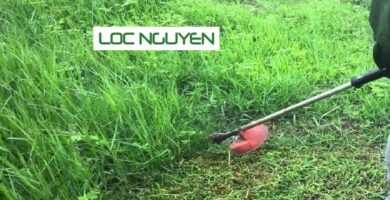 Dịch Vụ Phát Hoang Cỏ Dại KCN Tại Long An