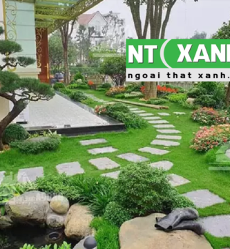 Dịch vụ trồng cây cảnh tại Bình Dương