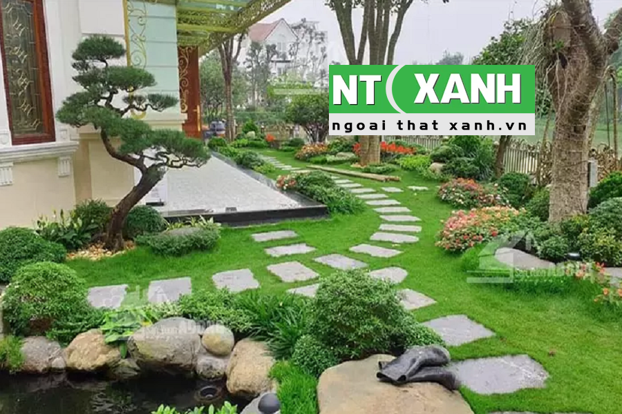 Dịch vụ trồng cây cảnh tại Bình Dương