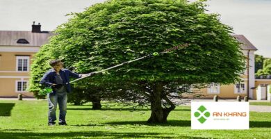Chăm sóc cây xanh KCN Bàu Bàng