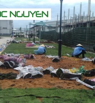 Công Ty Chăm Sóc Cây Xanh Tại Cần Giuộc Long An