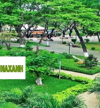 Cung cấp cây xanh tại TPHCM