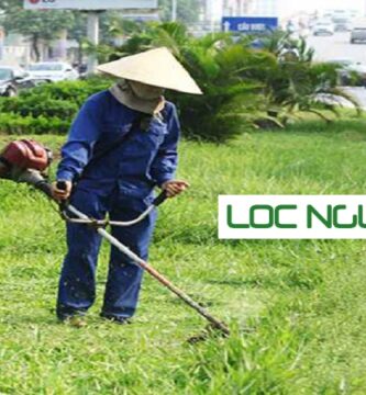 Dịch Vụ Phát Hoang Cỏ Dại KCN Tại Long An