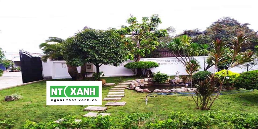 Dịch Vụ Trồng Cỏ Sân Vườn Ở Bình Dương