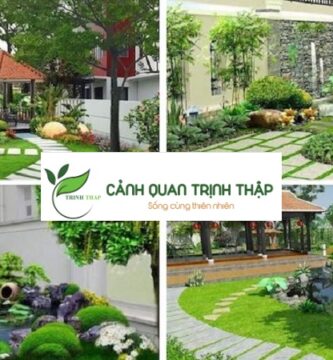Thiết Kế Sân Vườn Tại Hà Nội