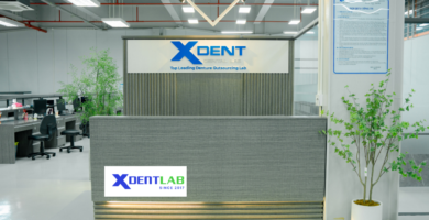 Vietnam Dental Laboratories District 4 Ho Chi Minh City