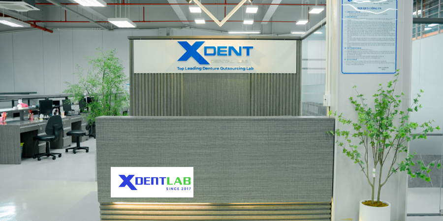 Vietnam Dental Laboratories District 4 Ho Chi Minh City