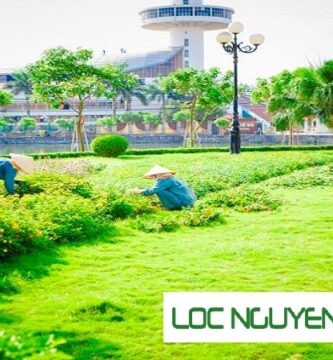 Công Ty Chăm Sóc Cây Xanh Tại Long An