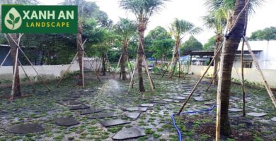 Công Ty Thiết Kế Cảnh Quan Thủ Dầu Một