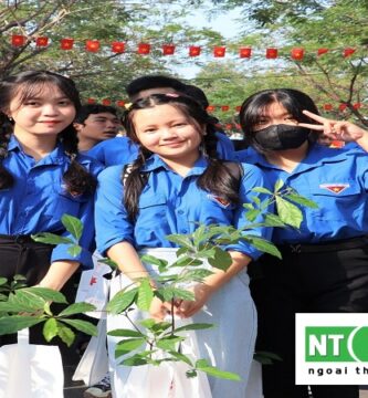 Dịch Vụ Trồng Cây Cảnh Tại Tây Ninh