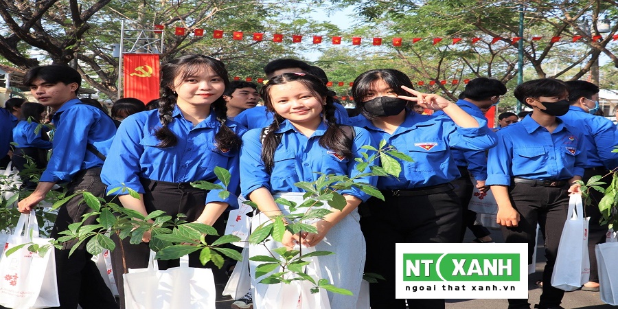 Dịch Vụ Trồng Cây Cảnh Tại Tây Ninh