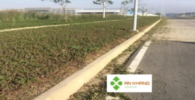 Dịch Vụ Trồng Cây Xanh KCN Bình Dương