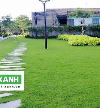 Dịch Vụ Trồng Cỏ Sân Vườn Ở Bình Dương