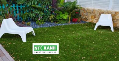 Dịch Vụ Trồng Cỏ Sân Vườn TP.HCM