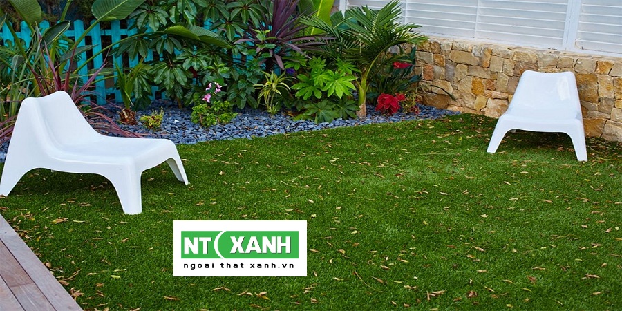 Dịch Vụ Trồng Cỏ Sân Vườn TP.HCM