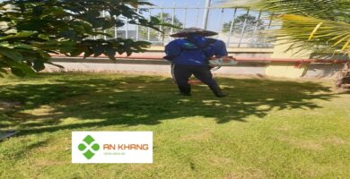 Dịch vụ phát cỏ hoang tại Bình Dương