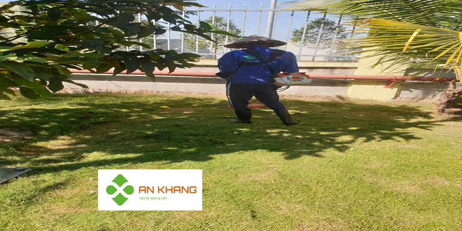 Dịch vụ phát cỏ hoang tại Bình Dương