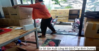 Cơ Sở Sản Xuất Lông Mi Giả Ở Tại Bình Dương
