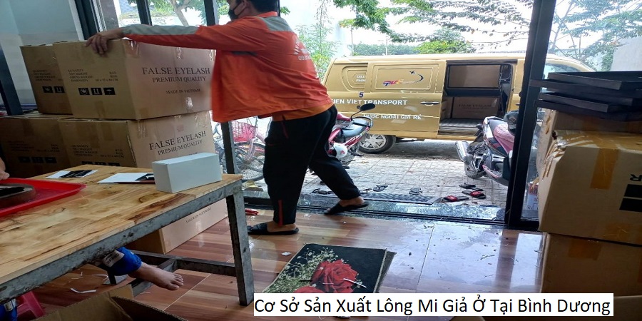 Cơ Sở Sản Xuất Lông Mi Giả Ở Tại Bình Dương