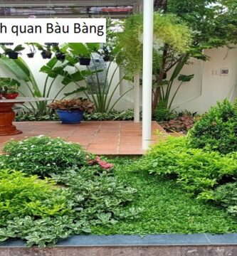 Công ty thiết kế cảnh quan Bàu Bàng