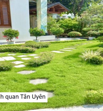 Công ty thiết kế cảnh quan Tân Uyên