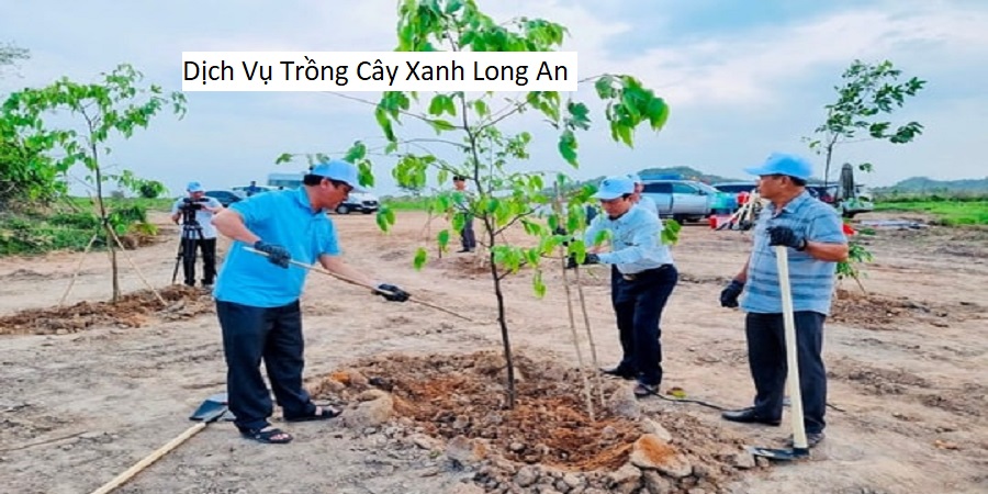 Dịch Vụ Trồng Cây Xanh Long An