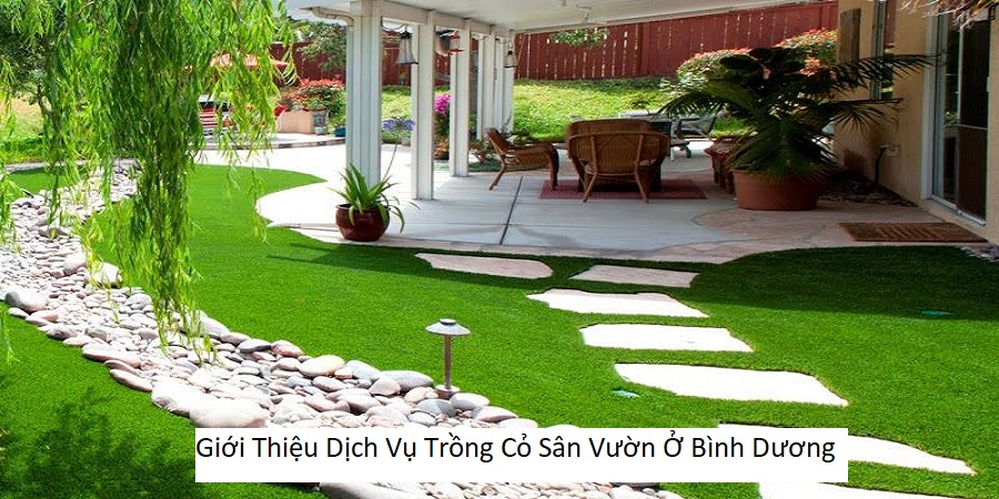 Giới Thiệu Dịch Vụ Trồng Cỏ Sân Vườn Ở Bình Dương