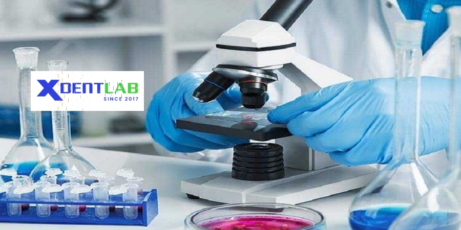 Lab to Lab Services district 8 Ho Chi Minh