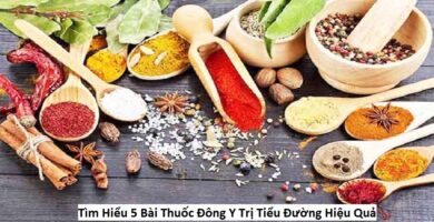 Tìm Hiểu 5 Bài Thuốc Đông Y Trị Tiểu Đường Hiệu Quả