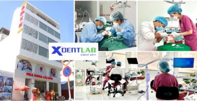 Vietnam dental laboratories district 4 Ho Chi Minh