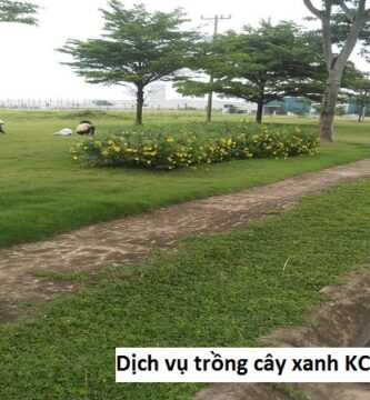 Dịch vụ trồng cây xanh KCN Bình Dương