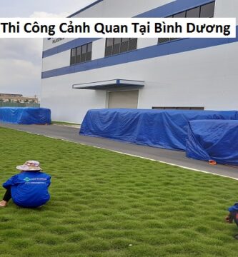 Đơn Vị Thi Công Cảnh Quan Tại Bình Dương